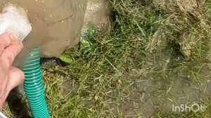 Как очистить скважину: простой способ