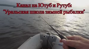 Открытие сезона 2025 по судаку. Волчихинское водохранилище