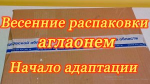 Весенние распаковки аглаонем.Начало адаптации.