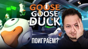 🔴 Goose Goose Duck - Гуси Гуси Дак - ИГРАЮ ПЕРВЫЙ РАЗ! #стрим #игры #goosegooseduck