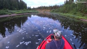 На рыбалку за хариусом на новые места! И рыбалка и грибалка))