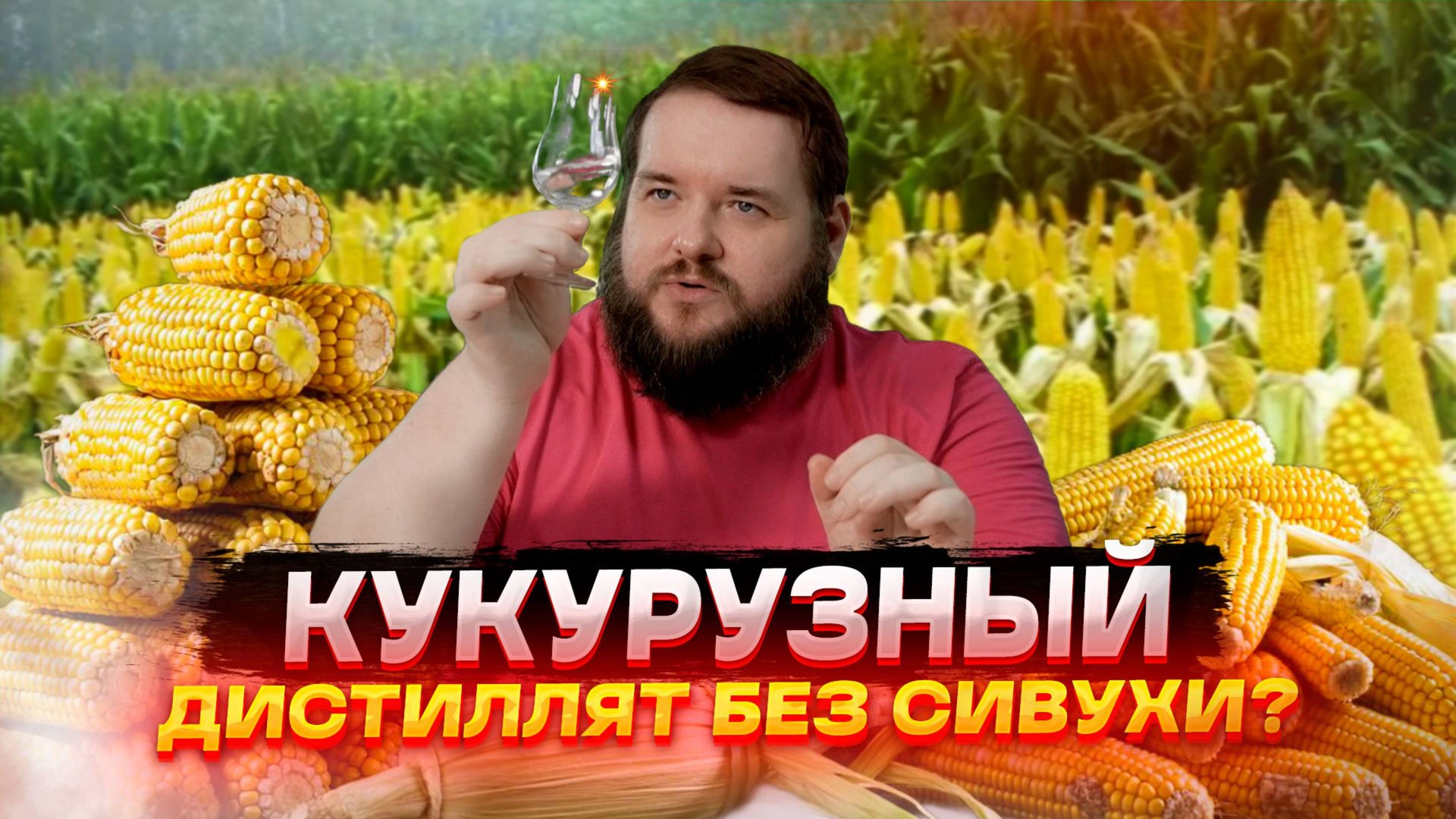 МОЛОТАЯ КУКУРУЗА НА ФЕРМЕНТАХ