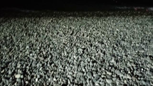 Прогулка в последний вечер смотреть онлайн