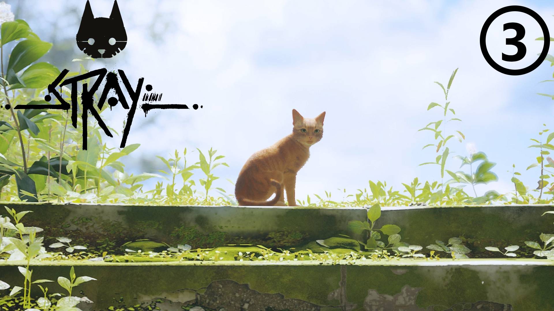 Stray ● Прохождение ● часть 3