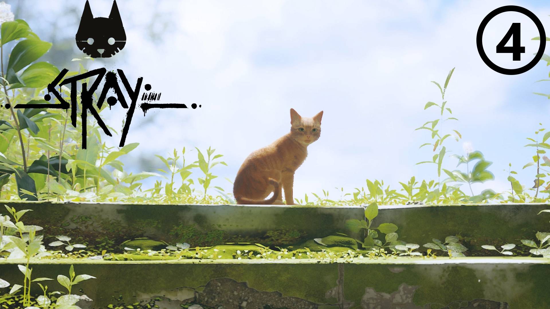 Stray ● Прохождение ● часть 4