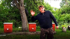 Стройка Хозяйство Пасека - Обзор