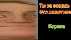 ты не знаешь это животное