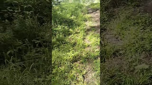 Участок смотреть онлайн