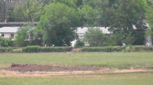 22.06.2025г скачка № 5