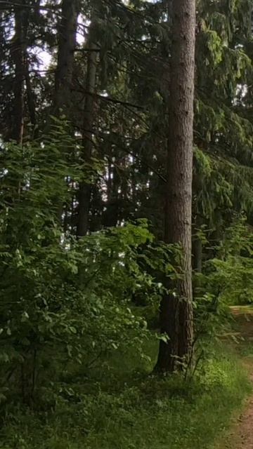 (48) Библия Евангелие от Иоанна глава 11 стих 37-46 смотреть онлайн