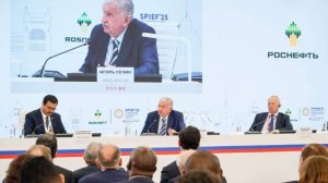 Сечин обличил ненаучность «зеленой повестки» в энергетике