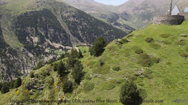 Цветущие поля и цветущие ноты! - Gold Rush -- Satellite State -- Collective