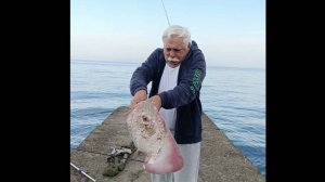 Черноморская лиса. Морской скат. Рецепт приготовления