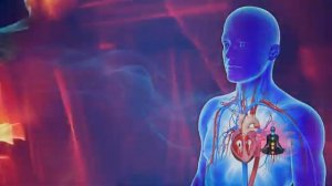 Сайт Гаряев-Матрицы.РФ Архив: Коррекция сердечно сосудистой системы Программа №2 2