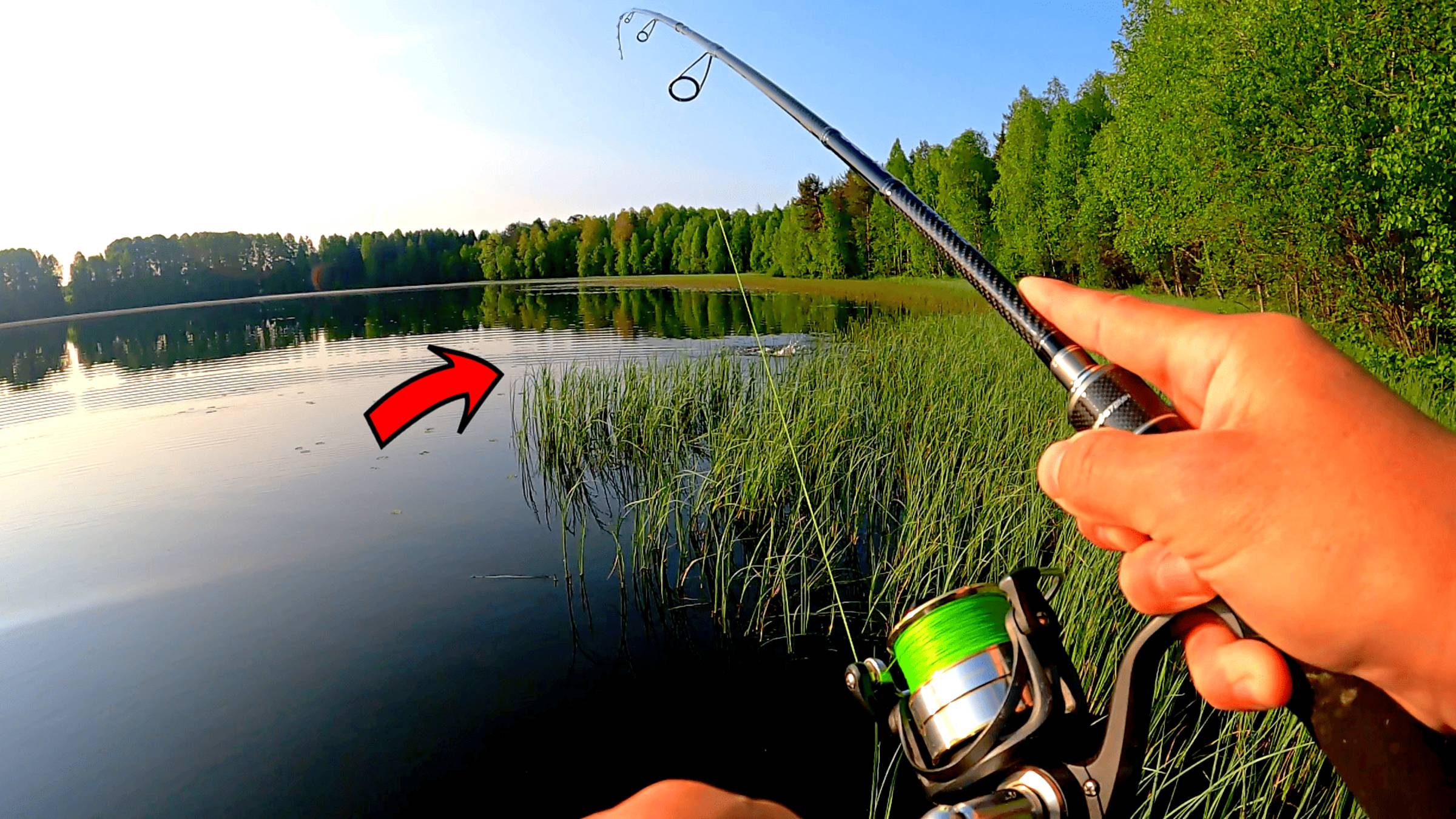 РЫБАК ПОШЁЛ НА ЛЕСНОЕ ОЗЕРО ЗА ЩУКОЙ ТАКОГО НЕ ОЖИДАЛ! РЫБАЛКА НА СПИННИНГ 2025 смотреть онлайн