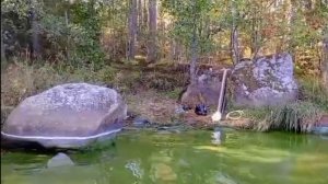 Путешествие на остров в Финском заливе