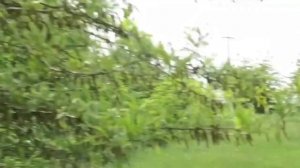 ЖЕСТЬ !!! 🔥 Прутак-Варвар обманул Федерального Судью и выставил себя жертвой ! Динская