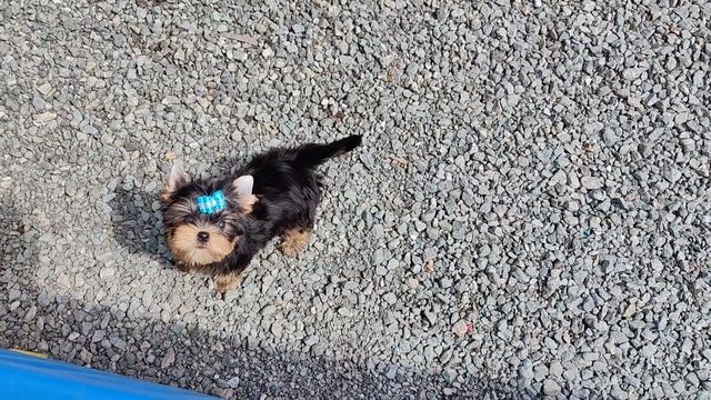 1000083196.mp4 смотреть онлайн