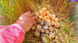 Очень испугалась! Такого я не ожидала!