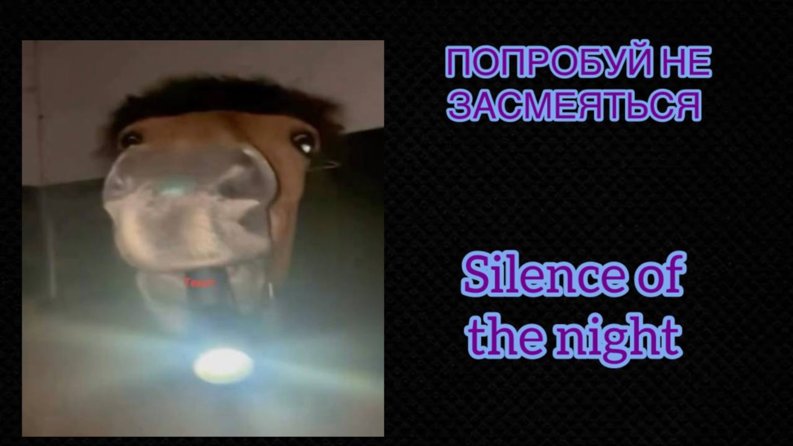 ПОДБОРКА ЛУЧШИХ СМЕШНЫХ ВИДЕО 2025 ИЮНЬ!!! ПОПРОБУЙ НЕ ЗАСМЕЯТЬСЯ!!!!