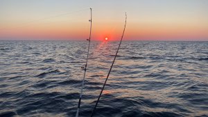 Ловля судака на Ладоге | Ночная рыбалка на судака 2022