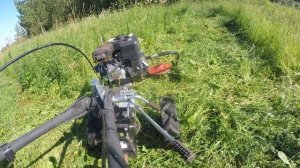 косилка Заря, косим люцерну 2