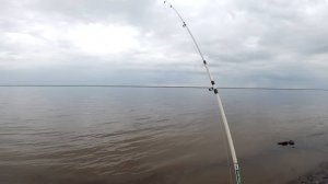 Река Енисей. Рыбалка на закидушки. Утро.