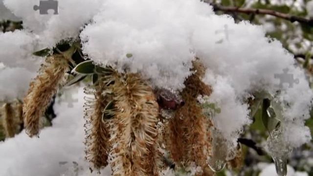 Летняя зима на Колыме