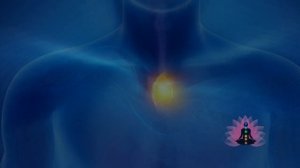 Иммунитет: матрица чистая Гаряева скачать весь архив Волновой иммунитет против вирусов 2025 Оригинал