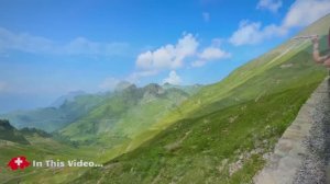 🇨🇭 Самая красивая поездка на поезде в мире в Швейцарии _ Бриенц Ротхорн Бан 🇨🇭