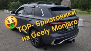 Премиальные брызговики на Geely Monjaro или долой дилерский колхоз