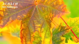 САБЛИМИНАЛ НА ДЕНЕЖНУЮ ЭНЕРГИЮ.