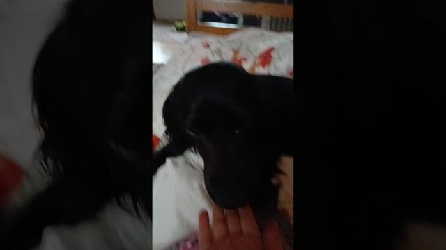 1000001561.mp4 смотреть онлайн