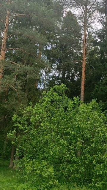 (45) Библия Евангелие от Иоанна глава 11 стих 1-11 смотреть онлайн