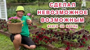 Как хилый росток превратить в пышный цветок