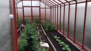 Теплица своими руками.