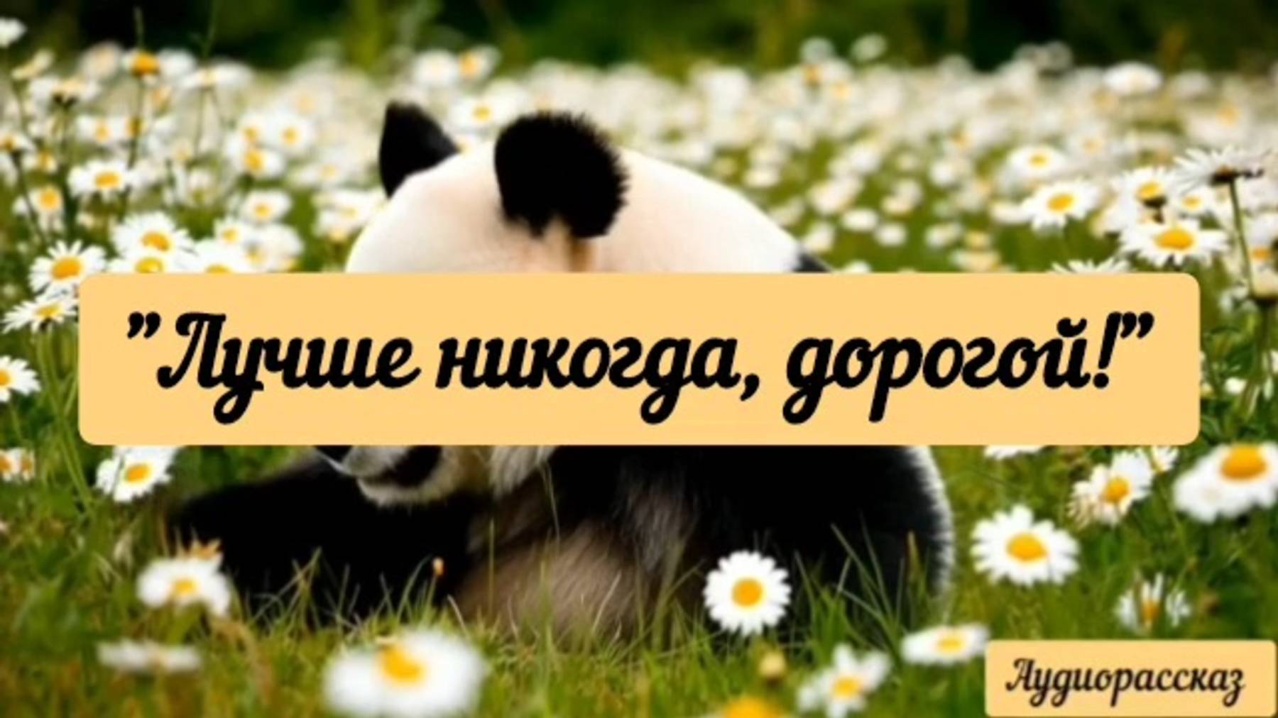 А он-то думал, им восхищаются, его любят.