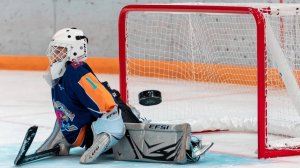 Хоккей вслепую