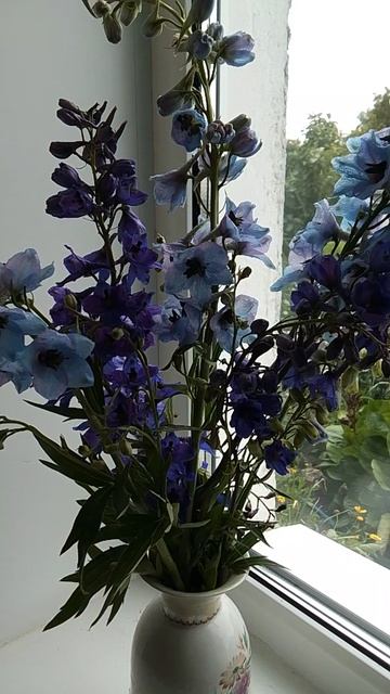 Всем хорошего дня.