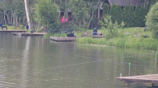 video_2025-06-22_16-01-31