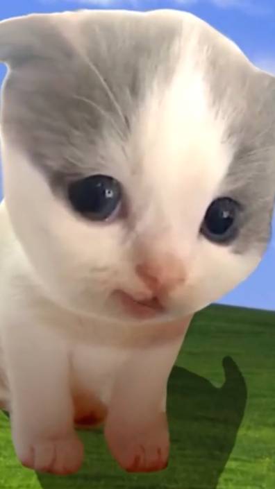 роблокс роблокс залетело роблокс смотреть онлайн