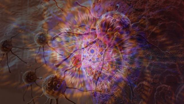 АНДРЕЙ ТИРТХА 2025 МАТРИЦЫ ГАРЯЕВА ЧИСТЫЕ ИНСТИТУТ: A Tirtha - 262 матрицы сайт гаряев-матрицы.рф