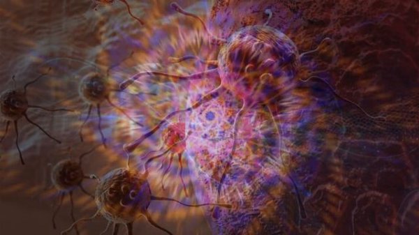 АНДРЕЙ ТИРТХА 2025 МАТРИЦЫ ГАРЯЕВА ЧИСТЫЕ ИНСТИТУТ: A Tirtha - 262 матрицы сайт гаряев-матрицы.рф