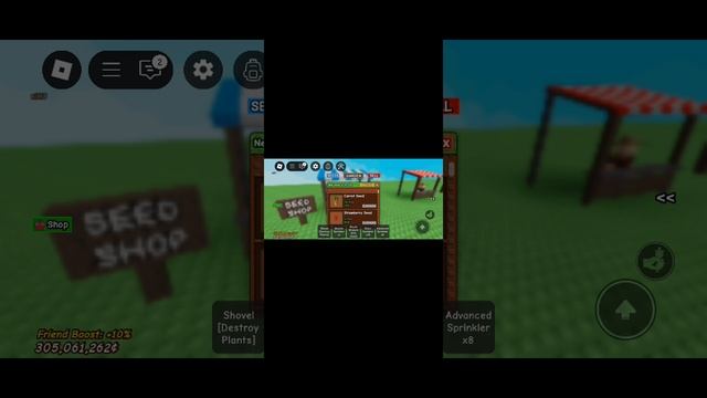 обзор на сад