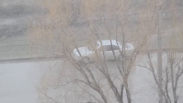 Волгодонск. Снегопад 24 марта 2013г