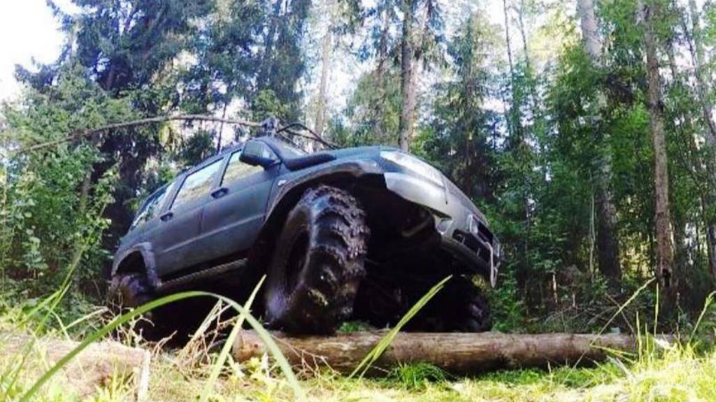 За земляникой через болото. Хроники Уаз Росомах.