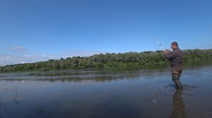 Рыбалка на леща. Ловля на пружины ,на сало. Первый выезд сезона.