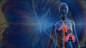 TIRTHA RELAX- МАТРИЦЫ-ГАРЯЕВА.РФ АРХИВ: Коллекция: Гаряев-Матрицы.рф Матрица № 5 Сердце