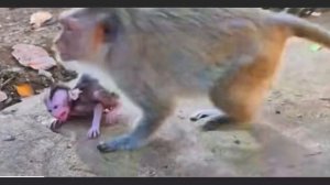 Dad или Mom ?   1000014334.mp4