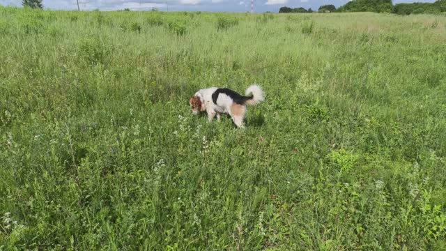 Нормы Г.Т.О. Сданы ли?